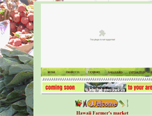 Tablet Screenshot of mahikufarmersmarket.com